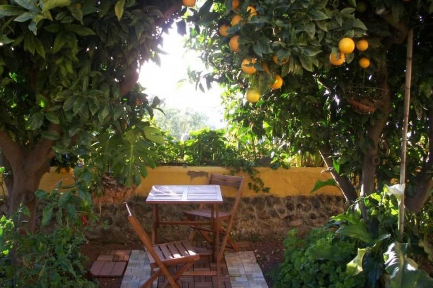 Typisches, renoviertes kanarisches Landhaus - foto 24