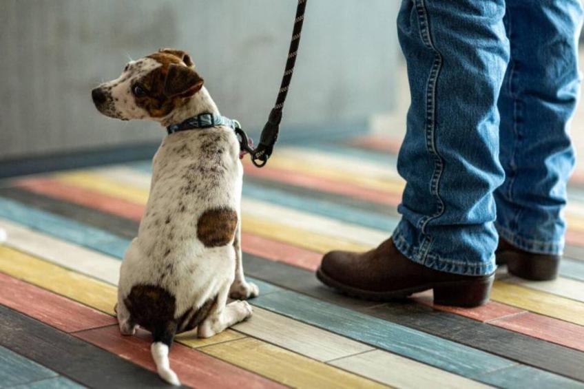 1 King Bed  Non-Smoking Kitchen - foto 19