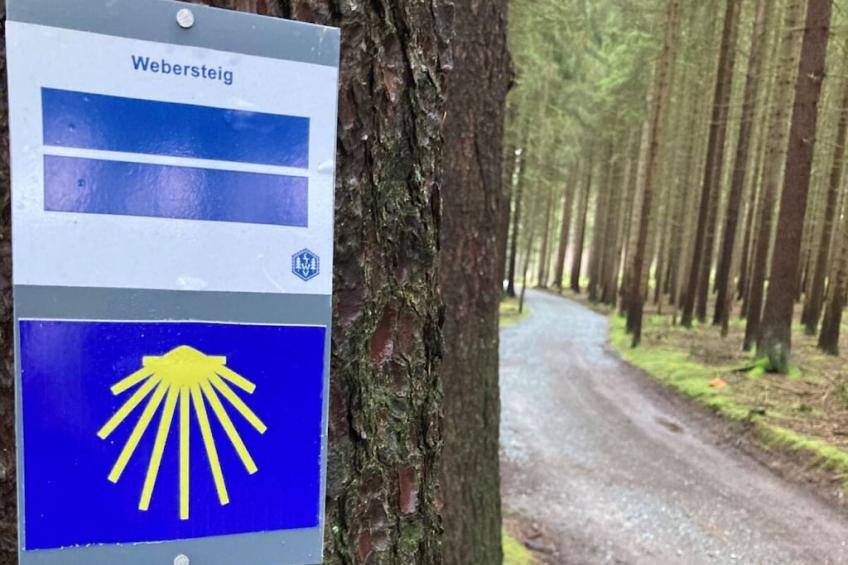 475887 - foto 22