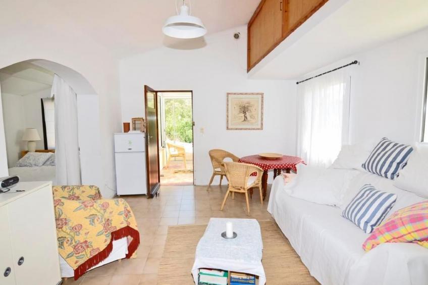 Die kleine Zikade - foto 10