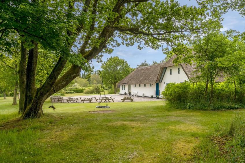 "Tatiane" - 10km from the sea in Western Jutland - foto 41