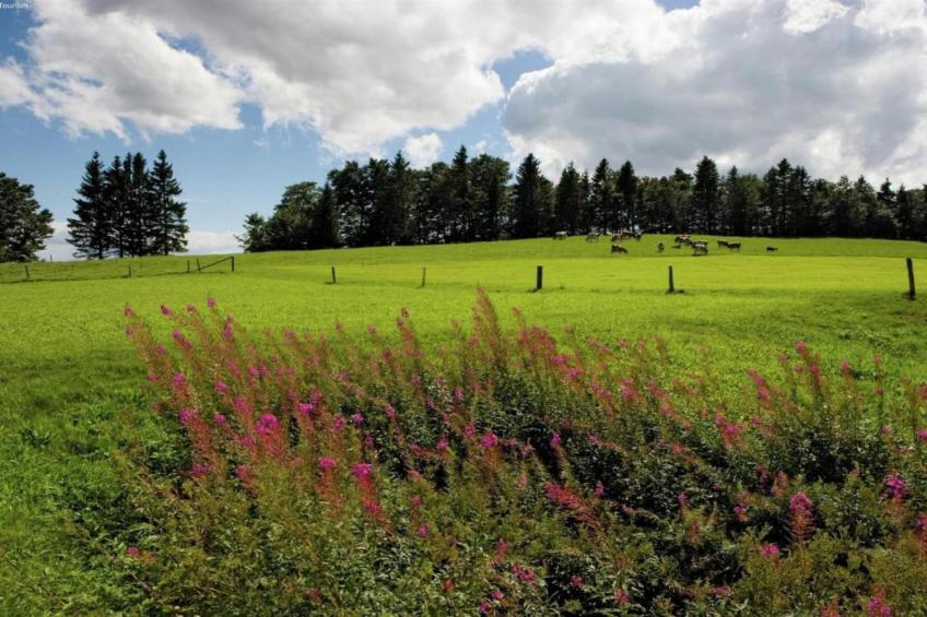 Le Nid du Crâ - foto 39