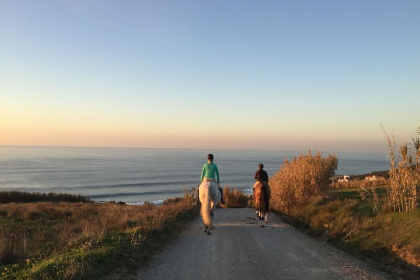 in Sesimbra mit Grill, Terrasse und Garten - foto 35