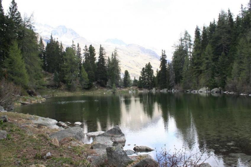 Chesa Arettas - foto 19