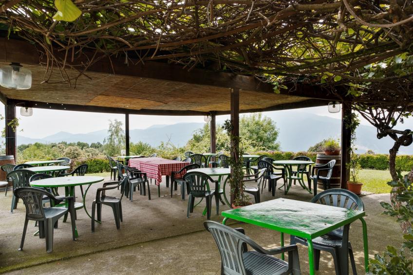 Rododendro - foto 21