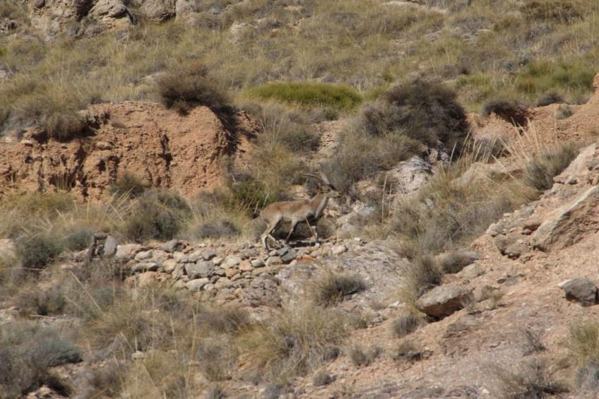 Schöne Villa für 6 Personen mit Schwimmbad - foto 42