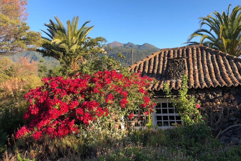 Las Tortugas - foto 5