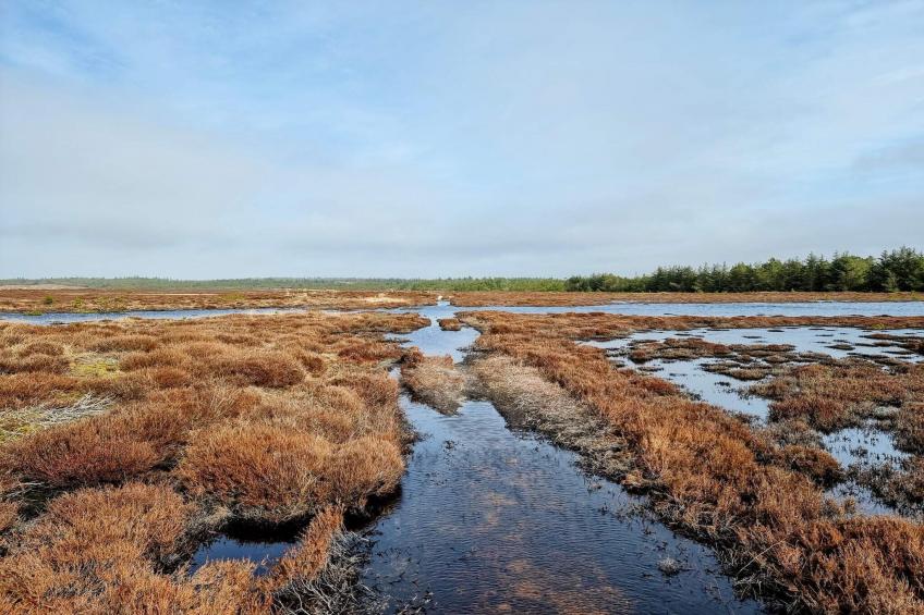 MOTEL UDSIGTEN - foto 24