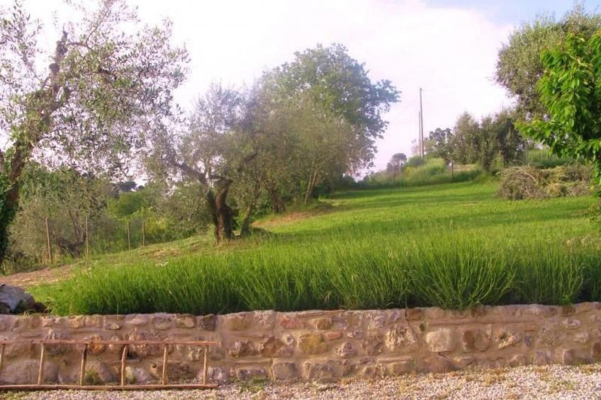 Toskana Poggio Cantarello - foto 14