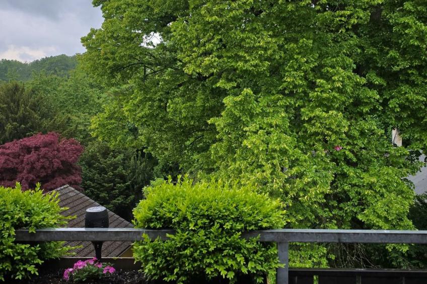 WALDLIEBE ♡ - foto 12