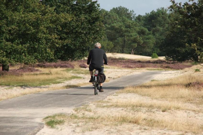 Recreatiepark Duinhoeve 15 - foto 27