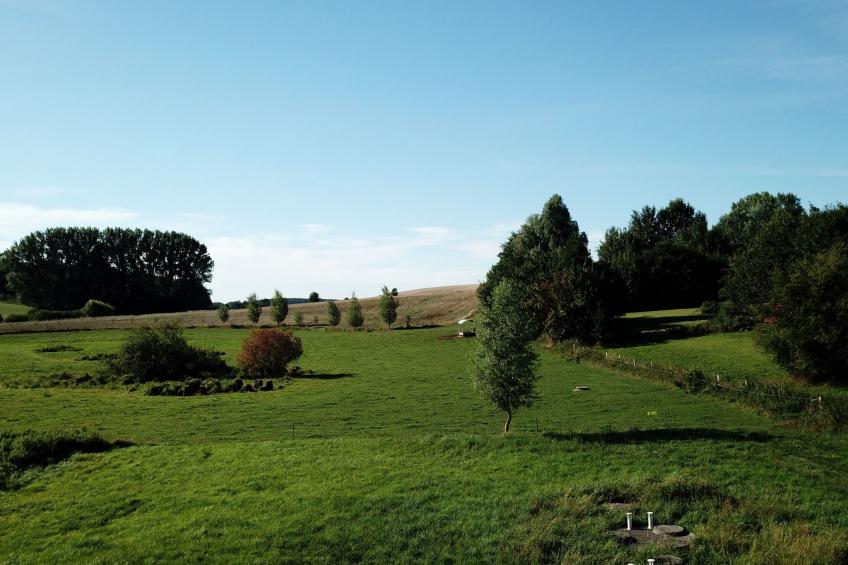 Haus-Zauberblau - foto 37