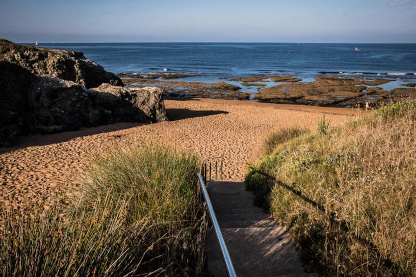 Appartements à Saint-Hilaire-de-Riez - foto 45