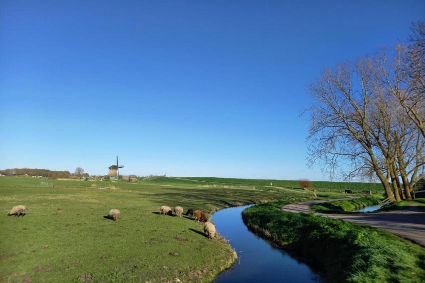 Park Wijdenes 4 - foto 31