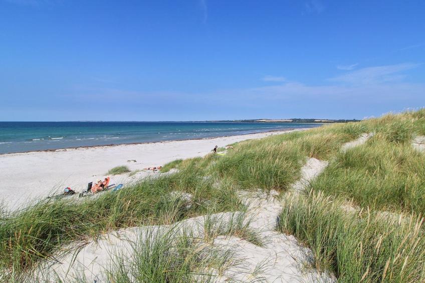 "Merina" - 700m from the sea in Sealand - foto 6