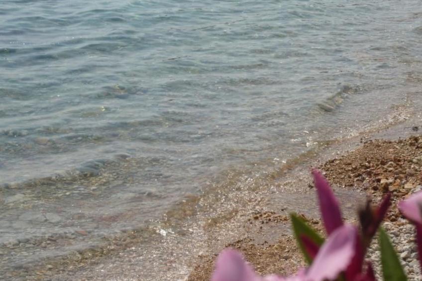 Erdgeschosswohnung Mia für vier Personen - foto 3