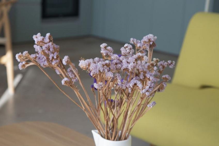 Villa für 4-6 Pers with pool in Plataria - Kalypso - foto 29