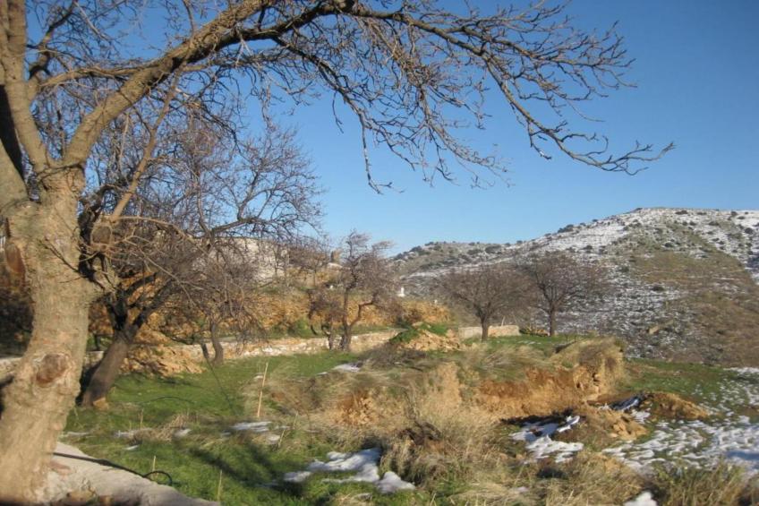 Casa la Albaida - foto 18