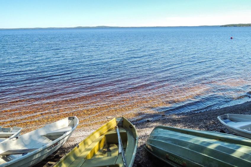 Koli, honkakoli 3 - foto 26