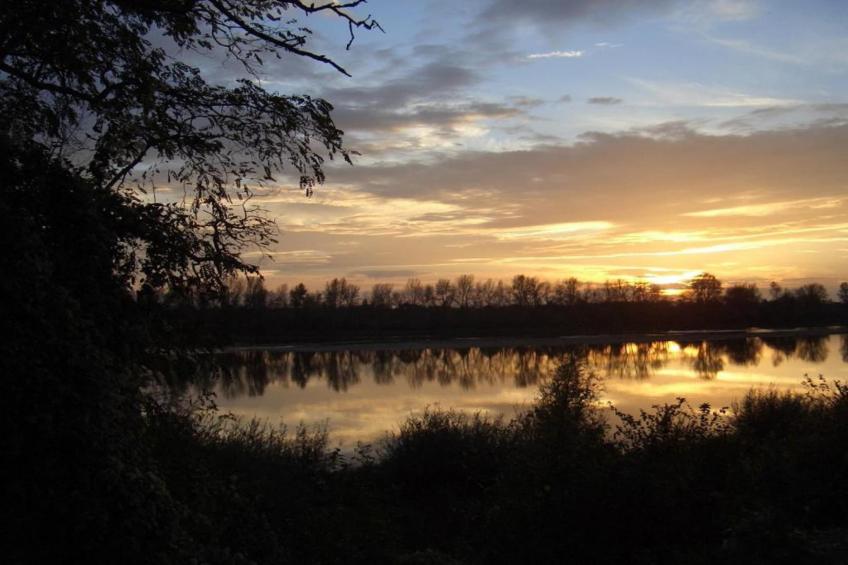 Maison de vacances - CHILLEURS-AUX-BOIS - foto 36