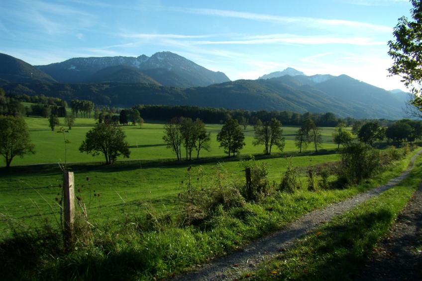 Betttis Bungalow - foto 23