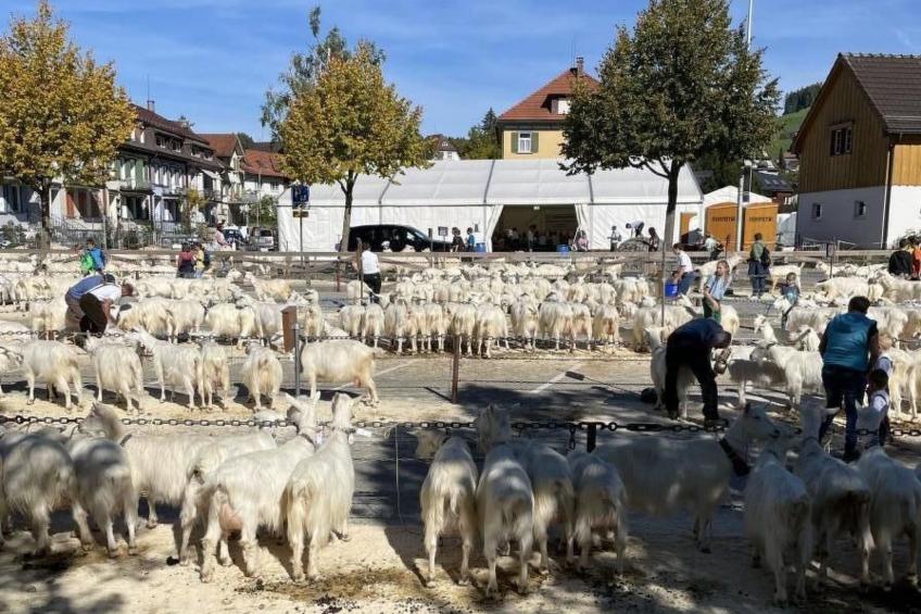 im Dorf Urnäsch - foto 39
