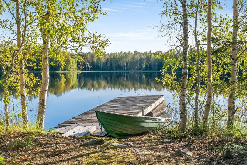 Niemenkärki, vaikon loma ja lohi - foto 6