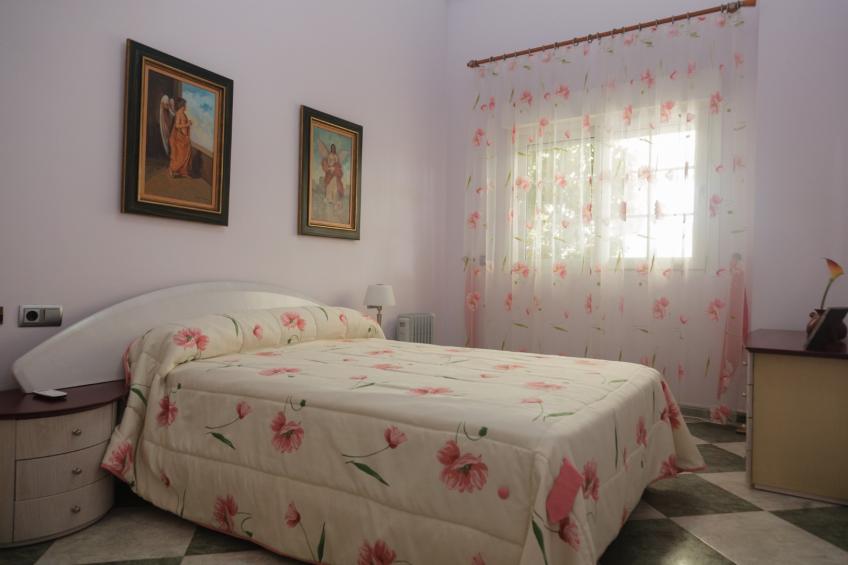 Los Vicentes - foto 20