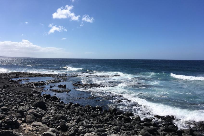 in Costa Teguise mit Privatem Pool - foto 35