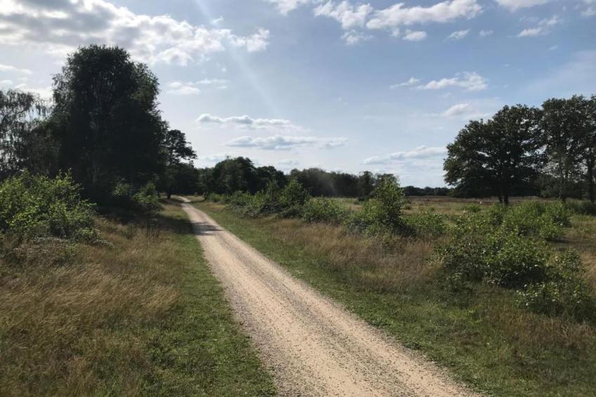 Vakantiepark Hessenheem 4 - foto 20