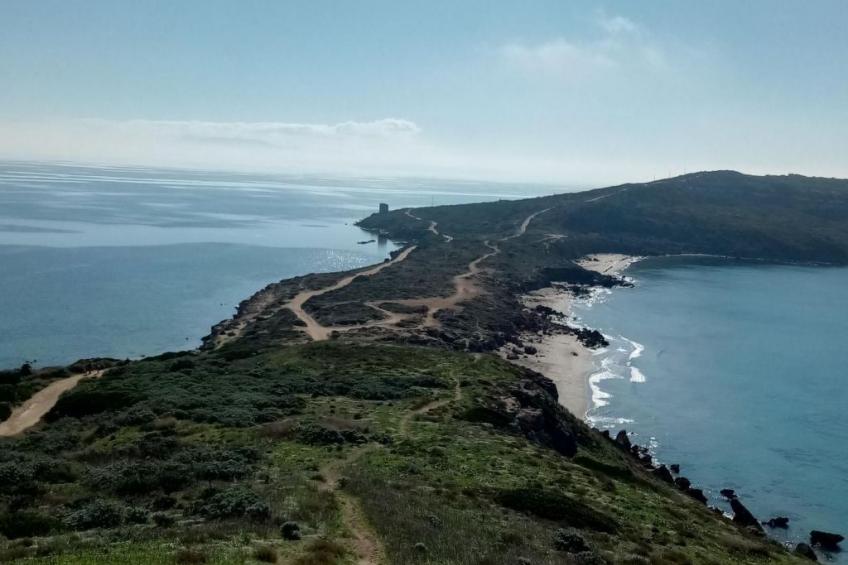 'Von Tziu Efisiu' - foto 43