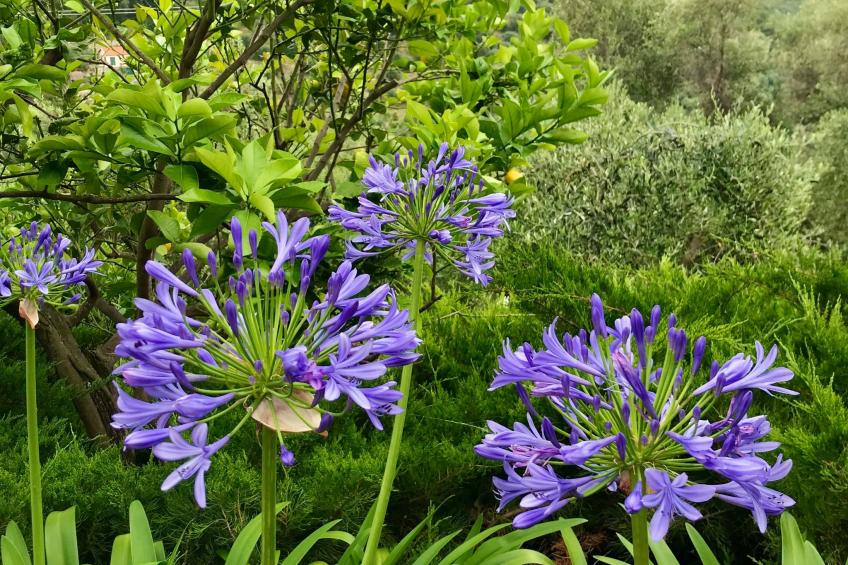 Casa Belvedere - foto 38