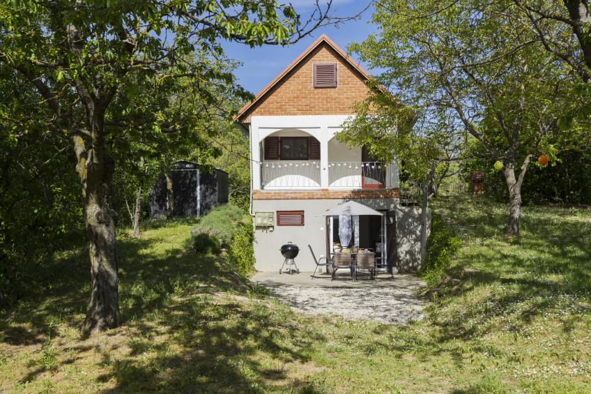 Öreghegy Kis Ház - foto 20