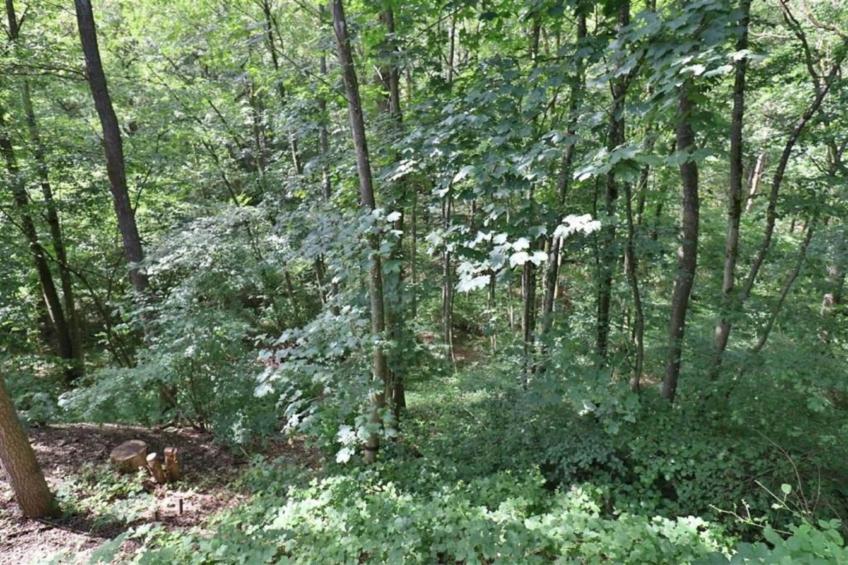 Le Paradis et Espace - foto 40