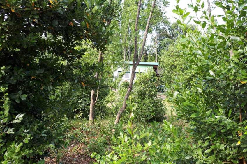 Tiny house Laurel - 70 Meter vom Strand entfernt - foto 8