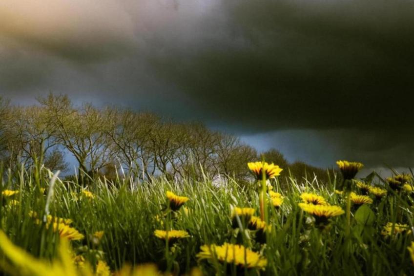 Docklodge 42 - foto 13