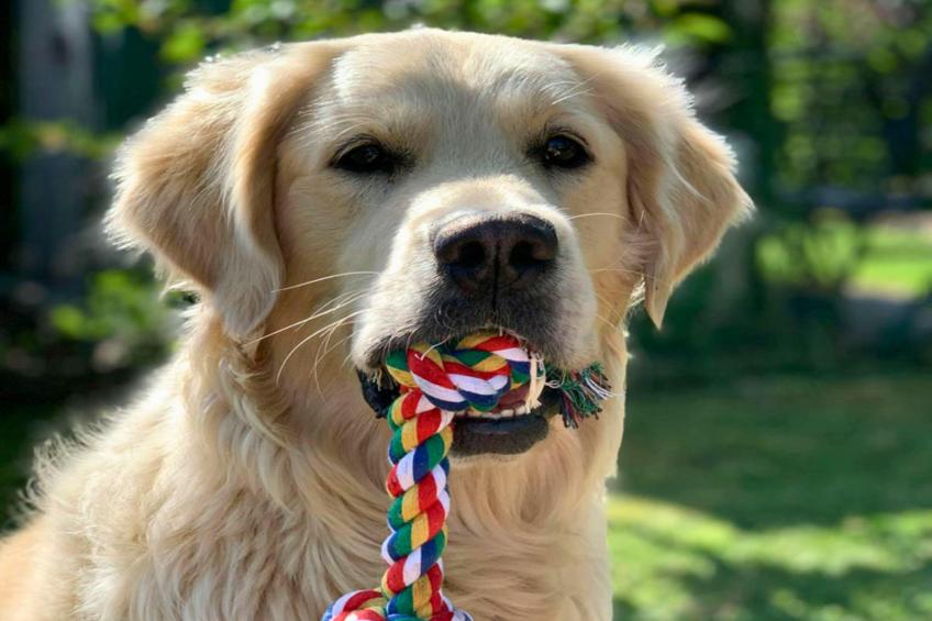 Jeamai’s Pension - foto 15