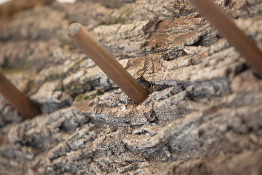 Dachstein Chalet Haus a - foto 13