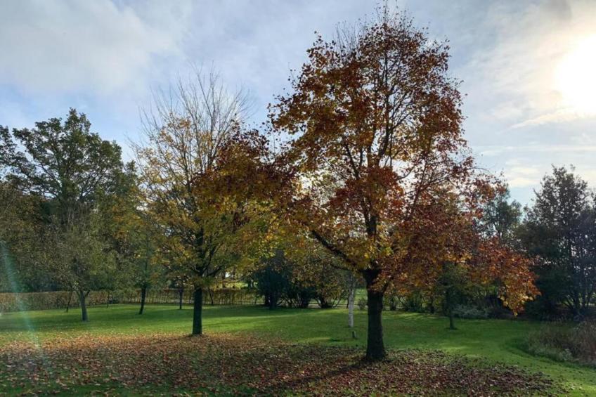 De Tolplas - Twents Buitenverblijf 4 - foto 25