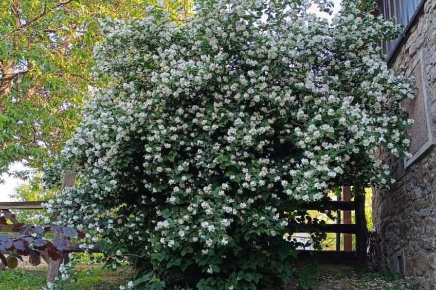 Haus in Sleme Skradsko mit Whirlpool und Parkplatz - foto 29