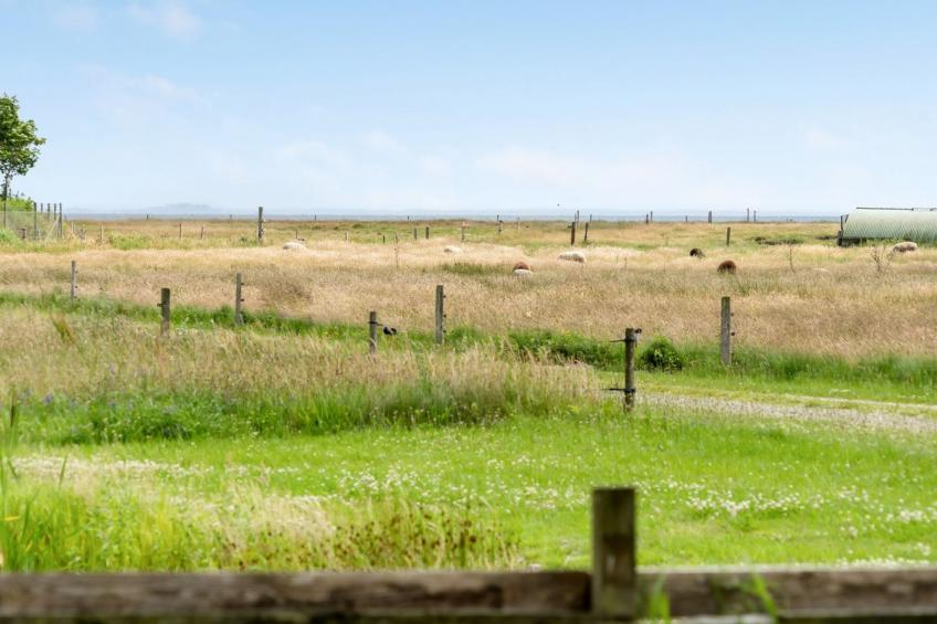 "Leocadia" - 150m to the inlet in The Liim Fiord - foto 27
