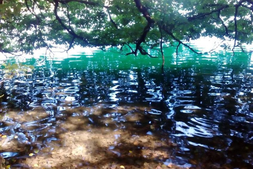 Landhaus Erika - foto 44