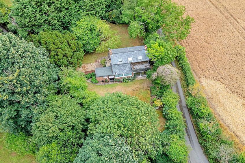 Hollybush Studio - foto 26