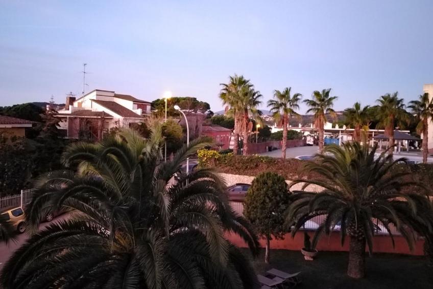 Cora - foto 20