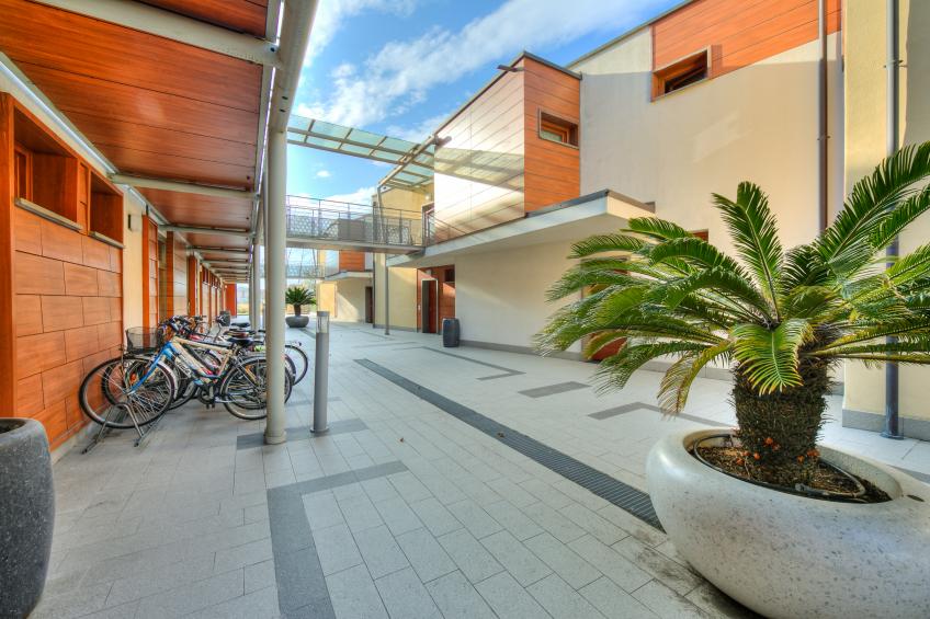 The Peace Of The Lake - foto 11