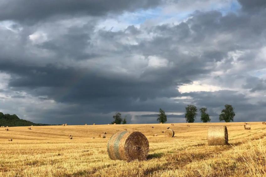 Landhaus mit eingezäuntem Garten - foto 22