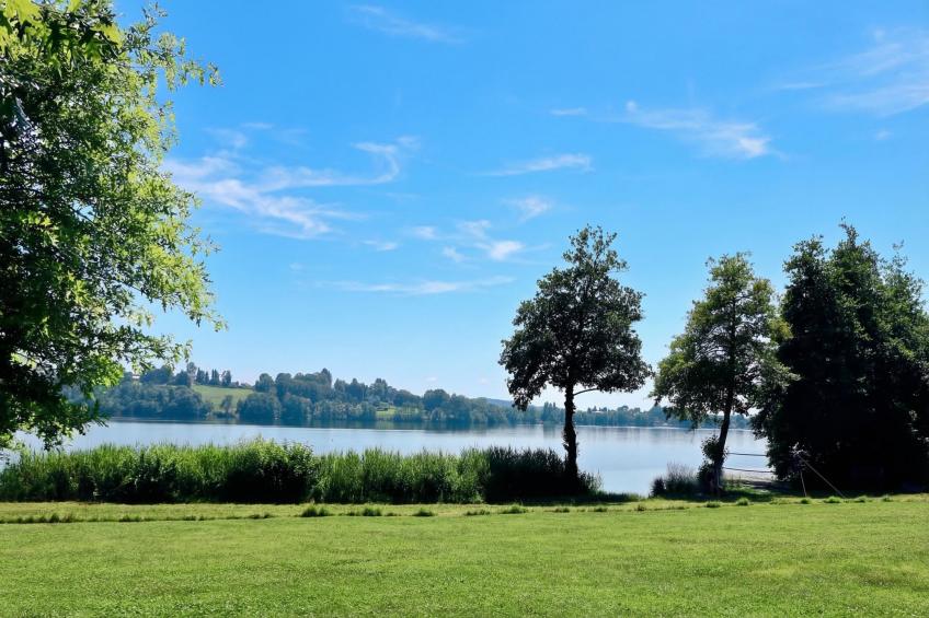 Rododendro Rosso - foto 35