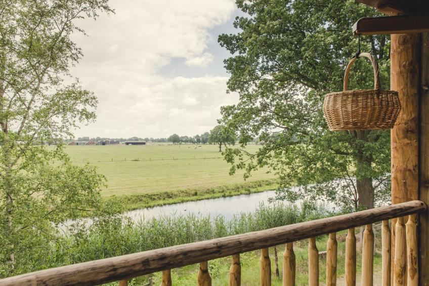 Tree house - foto 18