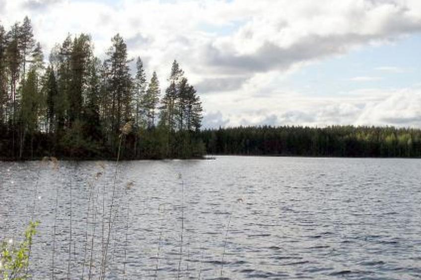 Syvälahti - foto 34