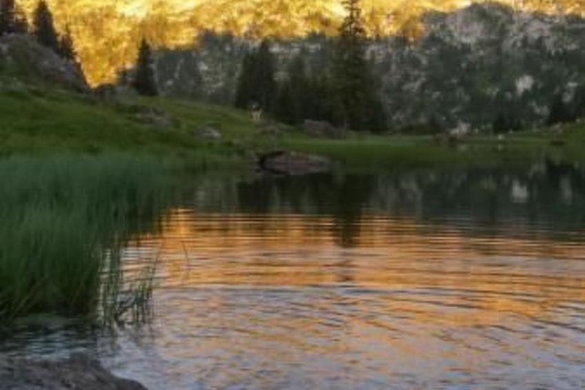 Appartement Eggmatte - foto 6